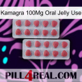 Kamagra 100Mg Oral Jelly Use 19